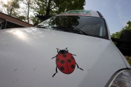Rallye Český Krumlov: Přejímky